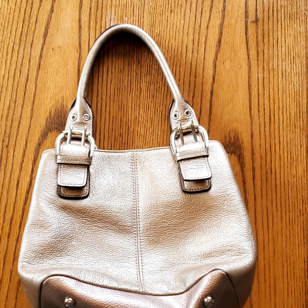 Gold Tignanello Purse